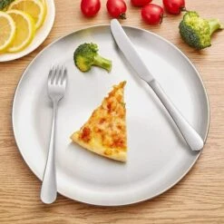 Plaques à Pizza En Acier Inoxydable,Ronde Plateau à Pizza Diamètre, Robuste Et Inodore 23 Cm Fontainebleau Argent -Four à pizza Soldes 2022 44559928 4